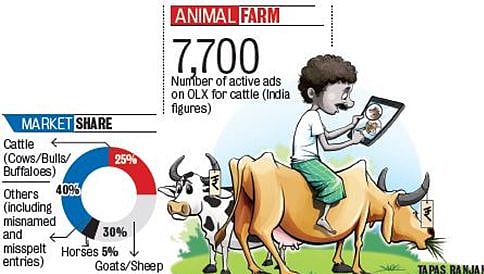 ಆನ್ ಲೈನ್ ಗೆ ಬಂತು ಪ್ರಾಣಿಗಳ ಮಾರಾಟ...!
