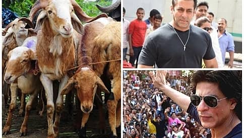 ಕುರಿ ಮಾರುಕಟ್ಟೆಯಲ್ಲಿ 'ಸಲ್ಮಾನ್ ಖಾನ್', 'ಶಾರುಕ್ ಖಾನ್' ಮಾರಾಟಕ್ಕೆ!