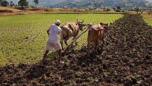 ಮತ್ತೆ ಹನ್ನೊಂದು ರೈತರ ಆತ್ಮಹತ್ಯೆ