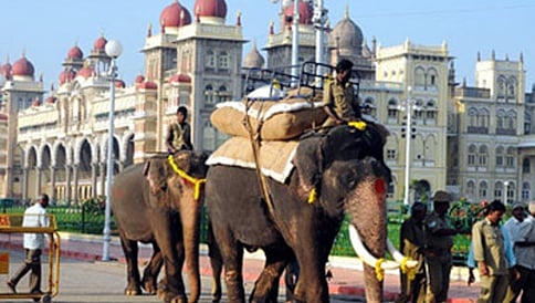 ನಾಳೆ ಮೈಸೂರು ತಲುಪಲಿರುವ ದಸರಾ ಗಜಪಡೆ