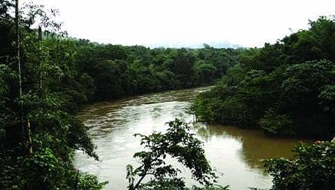 ಎತ್ತಿನಹೊಳೆ ಯೋಜನೆಯಿಂದ ಪರಿಸರಕ್ಕೆ ಗಂಭೀರ ಹಾನಿಯಿಲ್ಲ:  ಸಮಿತಿ ವರದಿ