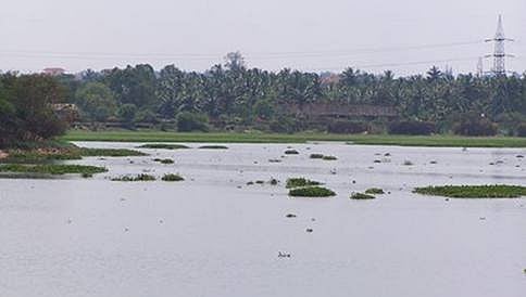 ಹಾಳಾಗುತ್ತಿರುವ ಕೆರೆಗಳನ್ನು ರಕ್ಷಿಸಿ