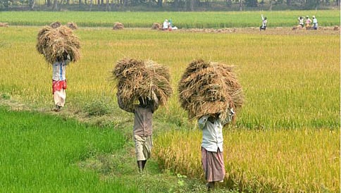 ಬೆಳೆ ವಿಮೆ ಯೋಜನೆಗೆ ಕೇಂದ್ರ ಅಸ್ತು