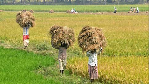 ಬೆಳೆ ವಿಮೆ ಯೋಜನೆಗೆ ಕೇಂದ್ರ ಅಸ್ತು