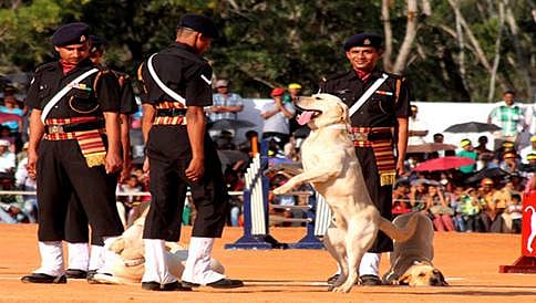 26 ವರ್ಷಗಳ ನಂತರ ರಿಪಬ್ಲಿಕ್ ಡೇ ಪರೇಡ್ ಗೆ ಶ್ವಾನದಳ ಎಂಟ್ರಿ