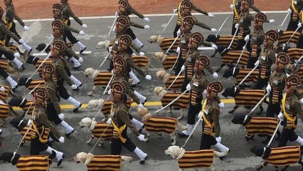 <div>ಭಾರತೀಯ ಸೇನೆಯ ಶ್ವಾನ ದಳ ಪರೇಡ್‌....</div>