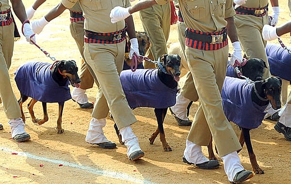 ಮೊದಲ ಬಾರಿಗೆ ಶ್ವಾನದಳದಿಂದ ಪಥಸಂಚಲನ