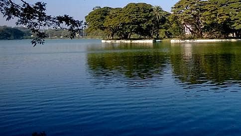 ಆತಂಕ ಸೃಷ್ಟಿಸುತ್ತಿರುವ ಕೆರೆ ಕಬಳಕಿ