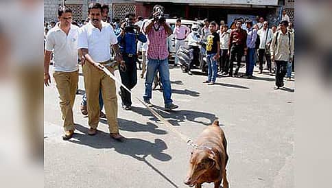 ಬನಶಂಕರಿಯ ಸಿನಿಮಾ ಹಾಲ್ ನಲ್ಲಿ ಶಂಕಿತ ಸ್ಫೋಟಕ ವಸ್ತು ಪತ್ತೆ?