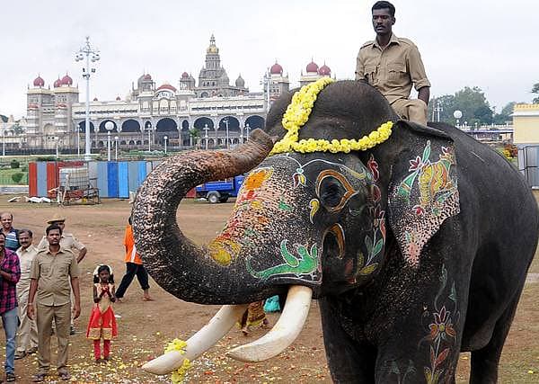 <b>ಹೋಗಿ ಬರ್ತಿನಿ ನಮಸ್ಕಾರ...</b> ನಾಡಹಬ್ಬ ಮೈಸೂರು ದಸರಾದ ಜಂಬೂ ಸವಾರಿಯ ನಂತರ ಆನೆ ಅರ್ಜುನ ಮರಳಿ ಕಾಡಿಗೆ ಹೋಗುವ ಮುನ್ನ ಸೊಂಡಿಲು ಮೇಲೆತ್ತಿ ಎಲ್ಲರಿಗೂ ನಮಸ್ಕರಿಸಿದ್ದು ಹೀಗೆ.