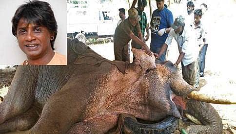 ಕಾಡಾನೆ ಸಿದ್ಧನ ಆರೋಗ್ಯ ವಿಚಾರಿಸಿದ ದುನಿಯಾ ವಿಜಯ್, ಪತ್ನಿ ಕೀರ್ತಿಗೌಡ