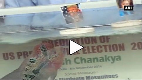 ಡೊನಾಲ್ಡ್ ಟ್ರಂಪ್ ಅಮೆರಿಕದ ಮುಂದಿನ ಅಧ್ಯಕ್ಷ: ಇದು ಚಾಣಕ್ಯನ ಭವಿಷ್ಯ!