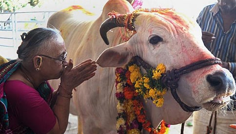 ಗೋಮಾಂಸ ತಿನ್ನದೆ ಬದುಕಲು ಸಾಧ್ಯವೇ ಇಲ್ಲ ಎನ್ನುವವರು ಹರ್ಯಾಣಕ್ಕೆ ಬರಬೇಡಿ