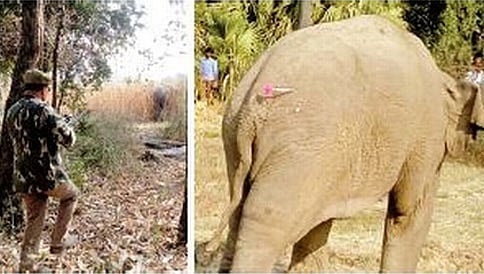 ಆನೆ ದಾಳಿಯಿಂದ ಗ್ರಾಮವನ್ನು ರಕ್ಷಿಸಿದ ಹೈದರಾಬಾದ್ ಶಿಕಾರಿ..!