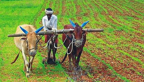ಕೃಷಿ ಕ್ಷೇತ್ರಕ್ಕೆ 4,346 ಕೋಟಿ ರುಪಾಯಿ ಅನುದಾನ