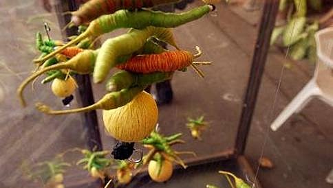 ಒಂದು ನಿಂಬೆಹಣ್ಣಿನ ಬೆಲೆ 39 ಸಾವಿರ ರು.!