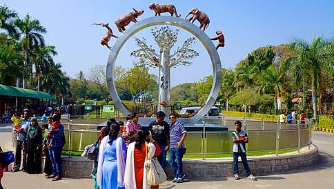ಹೈದರಾಬಾದ್ ಮೃಗಾಲಯದಿಂದ ಕರಡಿ ಪರಾರಿ