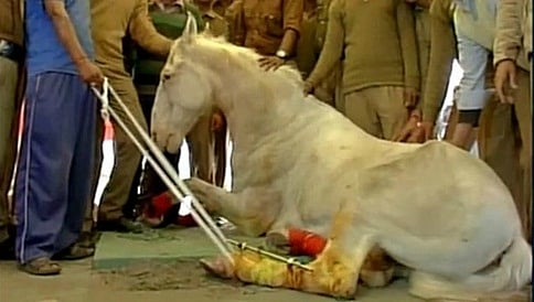 ಡೆಹ್ರಾಡೂನ್ ಪೆಟ್ರೋಲ್ ಪಂಪ್ ಗೆ ಶಕ್ತಿಮಾನ್ ಹೆಸರು