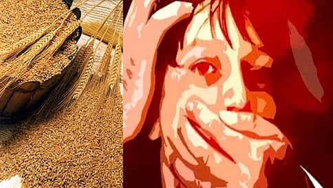 ಸಾಮೂಹಿಕ ಅತ್ಯಾಚಾರಕ್ಕೆ 1,200 ಕೆ.ಜಿ ಗೋಧಿ ದಂಡ!