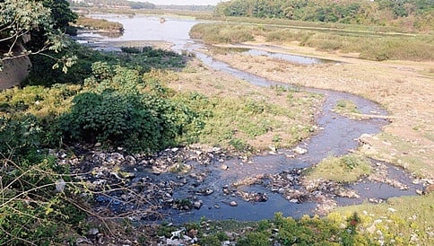 ತುಂಗಾ ನದಿ ಈಗ ಸೊಳ್ಳೆ ಉತ್ಪಾದನಾ ಕೇಂದ್ರ