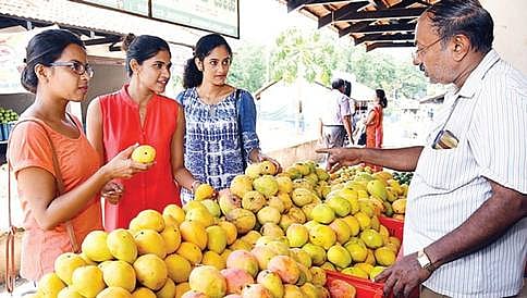 ಕರ್ನಾಟಕದ ಮಾವಿಗೆ ಹೊರ ರಾಜ್ಯದಿಂದ ಭಾರಿ ಬೇಡಿಕೆ