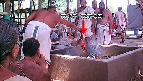 ಶಿವಮೊಗ್ಗದಲ್ಲೊಂದು ವಿವಾದಾತ್ಮಕ ಯಾಗ, ಸೋಮಯಾಗದಲ್ಲಿ 8 ಮೇಕೆ ಬಲಿ?