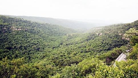 ವೆಬ್ ಸೈಟ್ ನಲ್ಲಿ ಪ್ರಕಟವಾಗಿದ್ದು ಕರಡು ಅರಣ್ಯ ನೀತಿಯಲ್ಲ: ಸರ್ಕಾರ ಸ್ಪಷ್ಟನೆ