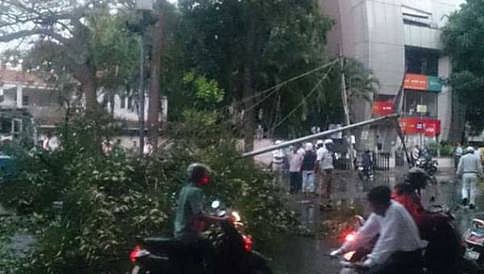 ಬೆಂಗಳೂರಿನಲ್ಲಿ ಬಿರುಗಾಳಿ ಸಹಿತ ಮಳೆ; ಮರ ಬಿದ್ದು ಬೈಕ್ ಸವಾರ ಸಾವು