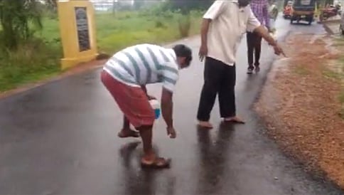 ಆಂಧ್ರ ಪ್ರದೇಶದಲ್ಲಿ ಮತ್ತೆ ಮೀನು ಮಳೆ!