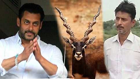 "ಚಿಗರೆ ಮೇಲೆ ಸಲ್ಮಾನ್ ಖಾನ್ ಗುಂಡು ಹಾರಿಸಿದ್ದನ್ನು ನಾನು ನೋಡಿದ್ದೆ"!