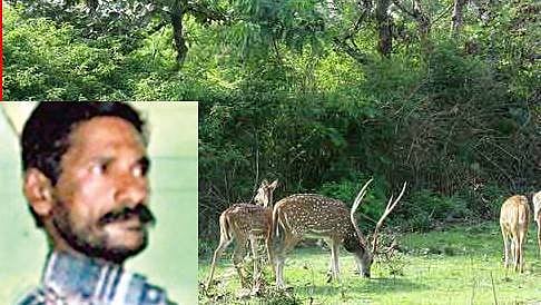 ರಾಜ್ಯದ ಅರಣ್ಯಾಧಿಕಾರಿಗಳಿಂದ ಜೂನಿಯರ್ ವೀರಪ್ಪನ್ ಕುಖ್ಯಾತಿಯ ಸರವಣನ್ ಬಂಧನ