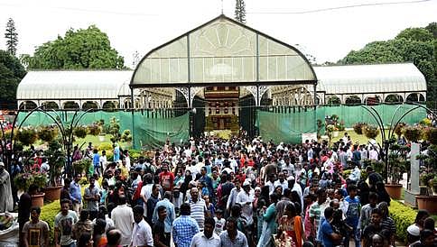 ಸಸ್ಯಕಾಶಿ ಲಾಲ್ ಬಾಗ್ ನಲ್ಲಿ ಮತ್ತೆ ಹೆಜ್ಜೇನು ದಾಳಿ: 2 ಗಂಭೀರ ಗಾಯ