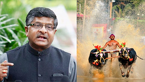 ಕಂಬಳಕ್ಕೂ ಜಲ್ಲಿಕಟ್ಟು ಮಾದರಿಯ ಬೆಂಬಲ ನೀಡಲು ಕೇಂದ್ರ ಸಿದ್ಧ: ರವಿಶಂಕರ್ ಪ್ರಸಾದ್