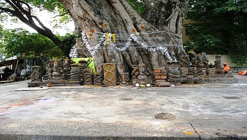 ಧ್ಯಾನ, ಅಧ್ಯಾತ್ಮ ಸಿದ್ಧಿಗೆ ಪ್ರಶಸ್ತವಾಗಿರುವ ಅಶ್ವತ್ಥ ವೃಕ್ಷ  ಹಿಂದಿನ ರಹಸ್ಯ