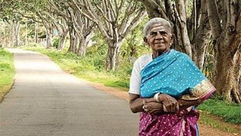 'ಸರ್ಕಾರದ ಸಹಾಯ ಪಡೆದು ತಿಮ್ಮಕ್ಕ ಈಗ ಶ್ರೀಮಂತೆ ಎಂದು ಜನ ತಪ್ಪು ತಿಳಿದಿದ್ದಾರೆ'