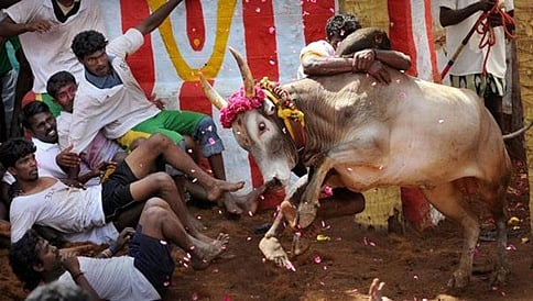 ಶಿವಮೊಗ್ಗ: ಹೋರಿ ಬೆದರಿಸುವ ಸ್ಪರ್ಧೆ ವೇಳೆ ಹೋರಿ ತಿವಿದು ವ್ಯಕ್ತಿ ಸಾವು