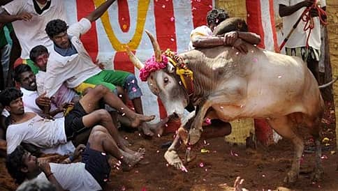 ಶಿವಮೊಗ್ಗ: ಹೋರಿ ಬೆದರಿಸುವ ಸ್ಪರ್ಧೆ ವೇಳೆ ಹೋರಿ ತಿವಿದು ವ್ಯಕ್ತಿ ಸಾವು