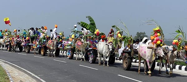 ನವೆಂಬರ್ 3ರಿಂದ 5ರ ವರೆಗೆ ನಡೆಯುವ ಹಂಪಿ ಉತ್ಸವದ ಪ್ರಯುಕ್ತ ಗುರುವಾರ ಹಂಪಿಯಲ್ಲಿ ರೈತರು ಎತ್ತಿನ ಗಾಡಿ ಮೆರವಣಿಗೆ ನಡೆಸಿದರು.
