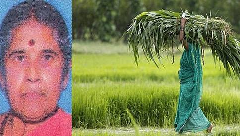 ಬೆಂಗಳೂರು: ಕೃಷಿ ಮೇಳದಲ್ಲಿ ಚಿಕ್ಕಬಳ್ಳಾಪುರ ಮಹಿಳೆಗೆ 'ಅತ್ಯುತ್ತಮ ರೈತ ಮಹಿಳೆ' ಪ್ರಶಸ್ತಿ