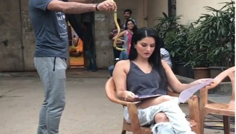 ಸನ್ನಿ ಲಿಯೋನ್ ಮೈಮೇಲೆ ಹಾವು ಹಾಕಿದ ಸಹೋದ್ಯೋಗಿ: ಹೀಗಿತ್ತು ನೋಡಿ ಆಕೆಯ ರಿಯಾಕ್ಷನ್