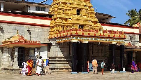 ದೇವಸ್ಥಾನ, ಮಠಗಳ ಆಡಳಿತದಲ್ಲಿ ಸರ್ಕಾರದ ಹಸ್ತಕ್ಷೇಪವಿರಬಾರದು: ಧರ್ಮ ಸಂಸದ