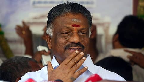 ಪನ್ನೀರ್ ಸೆಲ್ವಂ ಗೆ ಮತ್ತೆ 3 ಸಂಸದರ ಬೆಂಬಲ!