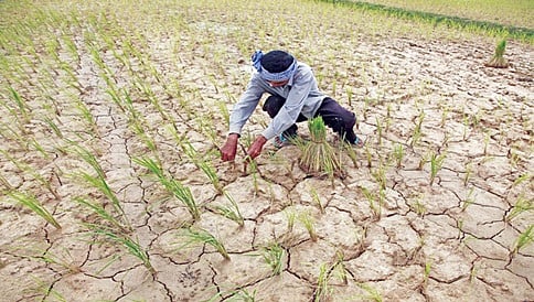 ಕೇಂದ್ರ ನೀಡುವ ಬೆಳೆ ಪರಿಹಾರ ಧನಕ್ಕಾಗಿ ಇನ್ನೂ ಕಾಯುತ್ತಿರುವ ರಾಜ್ಯ ಸರ್ಕಾರ