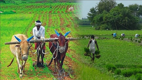 ರಾಜ್ಯ ಬಜೆಟ್ 2017-18: ಬರದ ನಡುವೆಯೂ ರೈತಾಪಿ ವರ್ಗಕ್ಕೆ ಸಿಎಂ ಸಿದ್ದು ನೀಡಿದ ಘೋಷಣೆಗಳು
