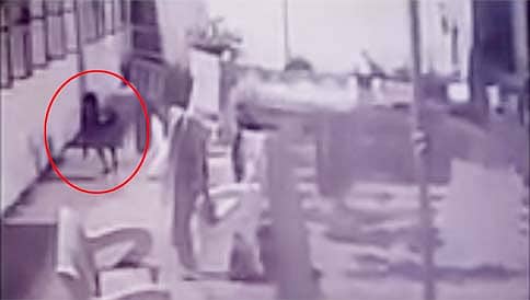 ವಿದ್ಯಾರ್ಥಿನಿಯರ ಒಳಉಡುಪು ಧರಿಸುತ್ತಿದ್ದ ವಿಕೃತಕಾಮಿ ಅಬು ತಾಲೀಮ್ ಬಂಧನ!