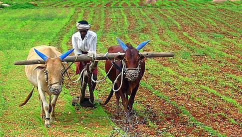 ರೈತರಿಗೆ ಮೂಲಭೂತ ಸೌಕರ್ಯ ಒದಗಿಸುವಂತೆ ಸಿಎಂ ಯೋಗಿ ಆದೇಶಿಸಿದ್ದಾರೆ: ರಾಹುಲ್ ಭಟ್ನಾಗರ್