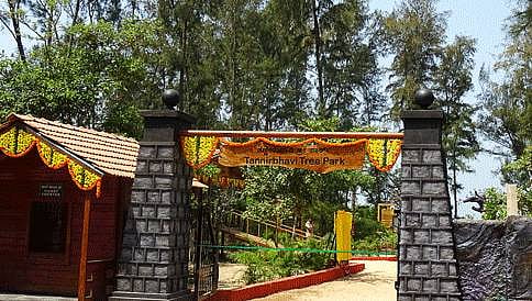ಮಂಗಳೂರು: ತಣ್ಣೀರ್ ಬಾವಿ ಟ್ರೀ ಪಾರ್ಕ್, ಲೈಬ್ರರಿಗೆ ದುಷ್ಕರ್ಮಿಗಳಿಂದ ಬೆಂಕಿ