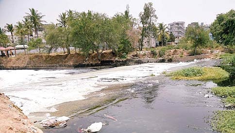 ಅಂತೂ ಸಿದ್ಧವಾಯ್ತು ಬೆಳ್ಳಂದೂರು ಕೆರೆ ಶುಚಿತ್ವ ಯೋಜನಾ ಪಟ್ಟಿ!