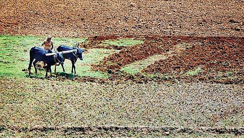ಮೇ-29 ಕ್ಕೆ ರಾಜ್ಯಕ್ಕೆ ಮುಂಗಾರು ಪ್ರವೇಶ