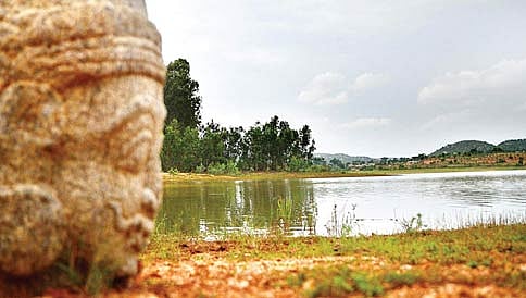 ಸಾಕು ನಾಯಿಗಳ ವಾಸನೆಯಿಂದಾಗಿ ಮೊಸಳೆ ದಾಳಿ ಮಾಡಿರಬಹುದು: ಅರಣ್ಯ ಇಲಾಖೆ